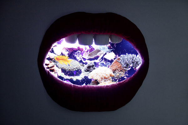 aquarium-design